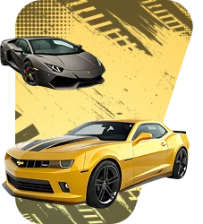 Cars & Vehicle Playsets