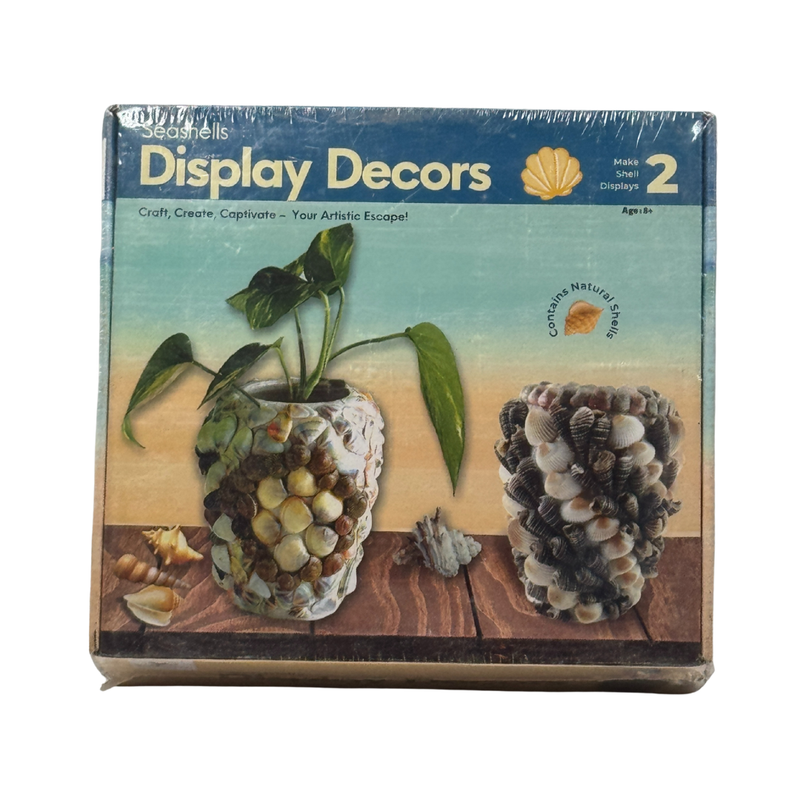 ToyKraft Seashells Display Decors DIY Kit – Creative Terracotta Potts with Seashells