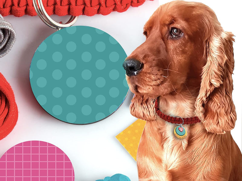 Chalk & Chuckles Dog Tug Toy & Collar, DIY Art and Craft Kit for Kids, Mess Free, No Sew Activity, Creative Gifts for Girls & Boys Age 8 9 10 11 12+ to Adults