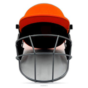 DSC Fearless Cricket Helmet