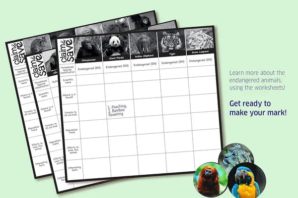 Chalk and Chuckles Claim and Save Strategy Game, Learn About Wildlife Animals, Endangered Species Ages 6 to 10 Boys and Girls